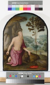 Saint Jérôme dans le désert, vers 1510-15