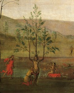 Femme-arbre (détail) - Pietro Perugino