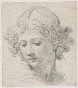 Étude pour la tête de Saint Michel - Pietro da Cortona