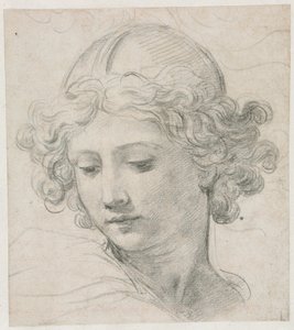 Étude pour la tête de Saint Michel, 1633 - Pietro da Cortona