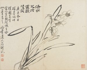 Paysages, Fleurs et Oiseaux : Narcisse, Dynastie Qing - Luo Ping