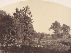 Le ruisseau forestier