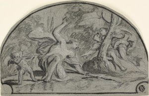 Narcisse