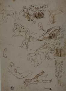 Esquisses de nus masculins, animaux et détails ornementaux - Polidoro da Caravaggio