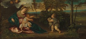 Madone et Enfant et le petit Saint Jean dans un paysage, 1540-1550 - Polidoro da Lanciano