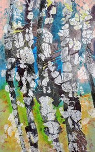 Les forêts de bouleaux aux couleurs éclatantes - Poonam Choudhary