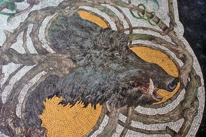 Sol représentant un sanglier