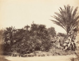 Jardin Pincian, Rome