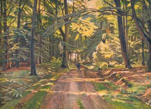 Chemin forestier près de Dyrnæs - Poul S. Christiansen