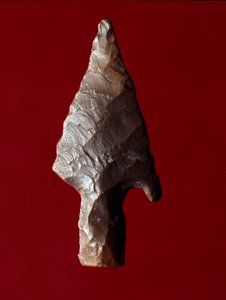 Antiquité égyptienne : pointe de flèche du site de Fayoum en Égypte - Prehistoric Prehistoric
