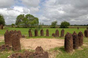 Préhistoire : cercle mégalithique de pierres de Wassu, Gambie - Prehistoric Prehistoric