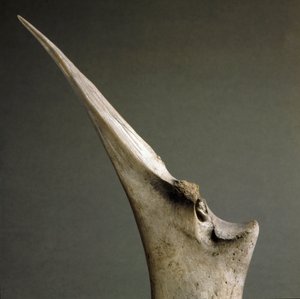 Préhistoire, culture de Polada : pointe d