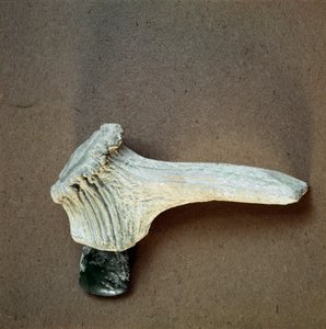 Préhistoire : hachette en pierre verte avec manche en bois de cerf de la grotte de Pollera