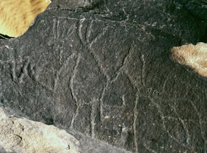Préhistoire, art rupestre : gravure rupestre - Prehistoric Prehistoric