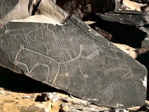 Préhistoire, art rupestre : roche funéraire représentant des lions, des antilopes, des autruches et du bétail. Âge de pierre 5000-2000 av. J.-C. Taghit, Haut plateau du Hoggar, Algérie - Prehistoric Prehistoric