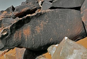 Préhistoire, art rupestre : roche gravée de la représentation de bovins. Style Tazina. Âge de pierre 5000-2000 av. J.-C. Taghit, Haut plateau du Hoggar (Ahaggar), Algérie - Prehistoric Prehistoric