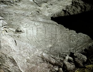 Préhistoire, art rupestre : représentations gravées de deux paires de bœufs tirant un chariot