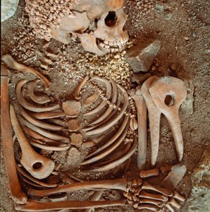 Préhistoire : squelette et trousseau funéraire d