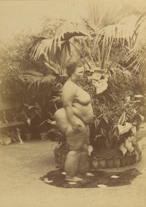 Femme africaine - Prince Roland Napoleon Bonaparte