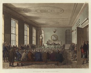 Société d