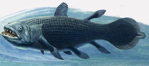 Coelacanthe - R.B. Davis