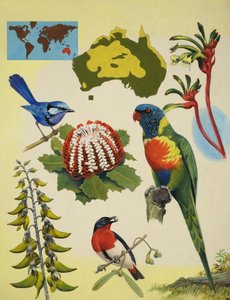 Faune et flore d