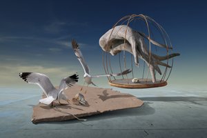 Les Mouettes s