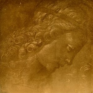 Étude sur une tête d