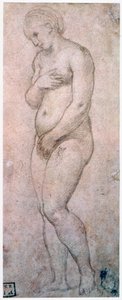 Étude de Vénus, vers 1500-1520 - Raffaello Sanzio Raphael