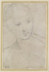 Étude de la tête d