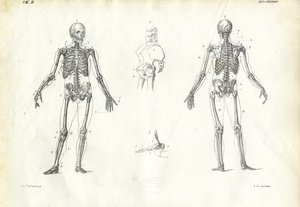 Être Humain, 1863-79 - Raimundo Petraroja