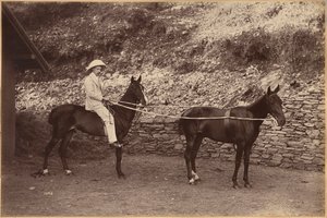 Capitaine H. S. Rawhinson (recto) - Raja Deen Dayal
