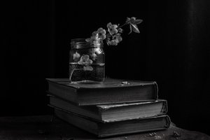  - Ramiz Sahin