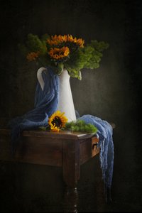  - Ramiz Sahin