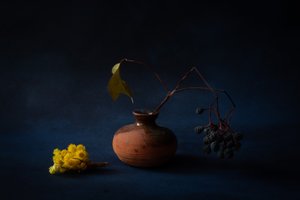  - Ramiz Sahin
