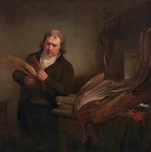 Un ornithologue, peut-être John Latham - Ramsay Richard Reinagle