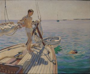 Baignade depuis le bateau