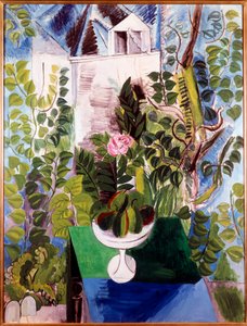 Maison et jardin (intérieur rose)