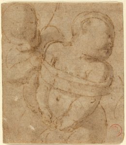 Cupidon Lié