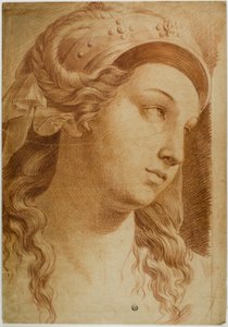 Tête de Comity - Raphael