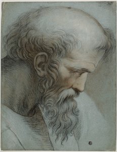 Tête de Pythagore - Raphael