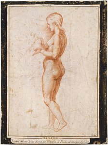 Jeune figure féminine de profil - Raphael