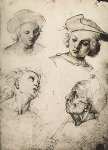 Étude de quatre visages masculins - Raffaello Sanzio Raphael