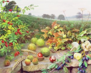 La cueillette dans la nature - Raymond Booth