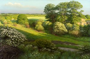 Paysage