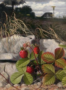 Fraises (huile sur panneau)