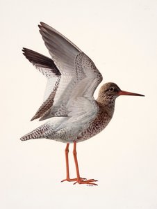 Étude d
