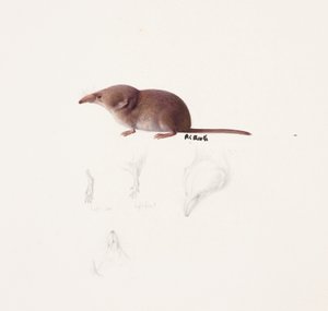 Étude d