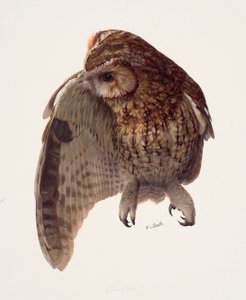 Étude d