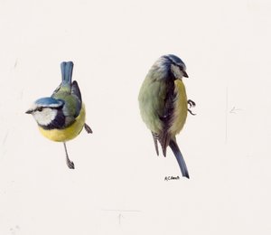 Deux études d